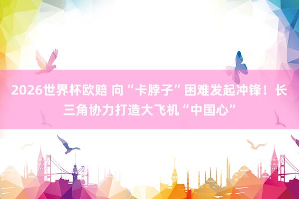 2026世界杯欧赔 向“卡脖子”困难发起冲锋!长三角协力打造大飞机“中国心”
