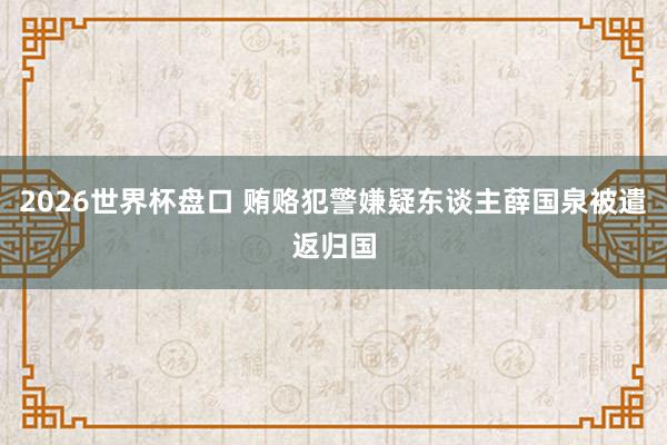 2026世界杯盘口 贿赂犯警嫌疑东谈主薛国泉被遣返归国