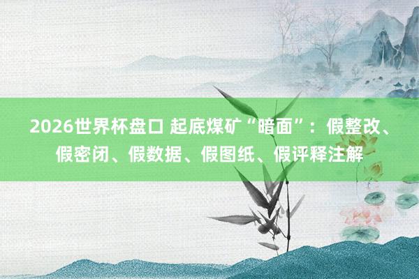2026世界杯盘口 起底煤矿“暗面”:假整改、假密闭、假数据、假图纸、假评释注解