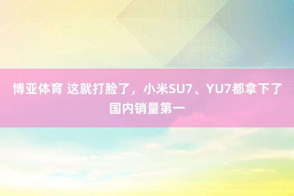 博亚体育 这就打脸了,小米SU7、YU7都拿下了国内销量第一