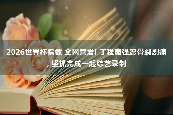2026世界杯指数 全网喜爱! 丁程鑫强忍骨裂剧痛, 坚抓完成一起综艺录制