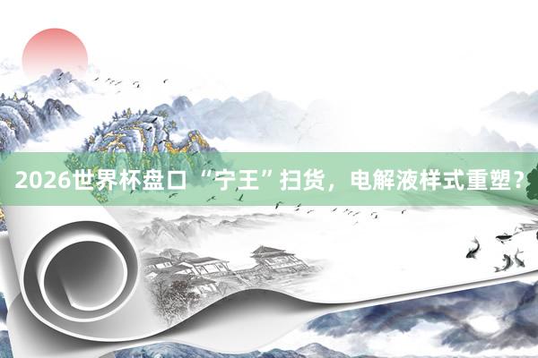 2026世界杯盘口 “宁王”扫货,电解液样式重塑?
