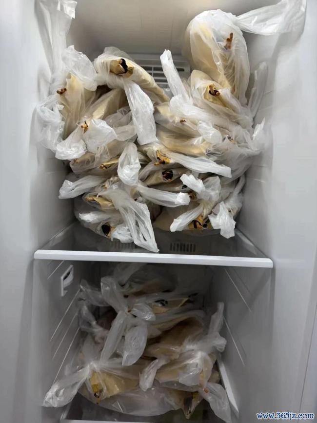 鹅腿大姨老粉如餍足提供没吃的居品检测