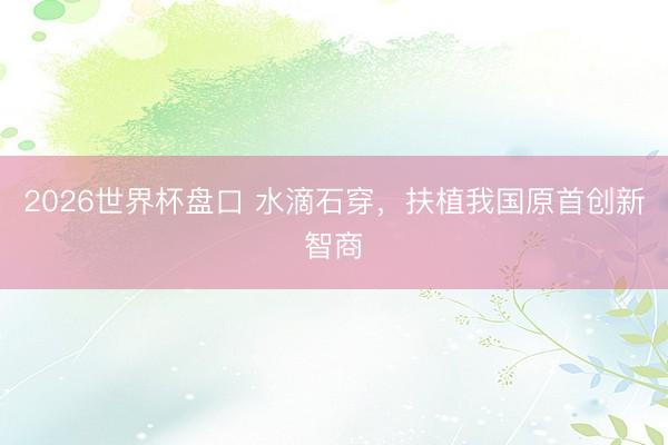 2026世界杯盘口 水滴石穿,扶植我国原首创新智商