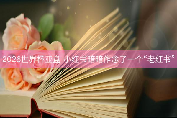2026世界杯亚盘 小红书暗暗作念了一个“老红书”