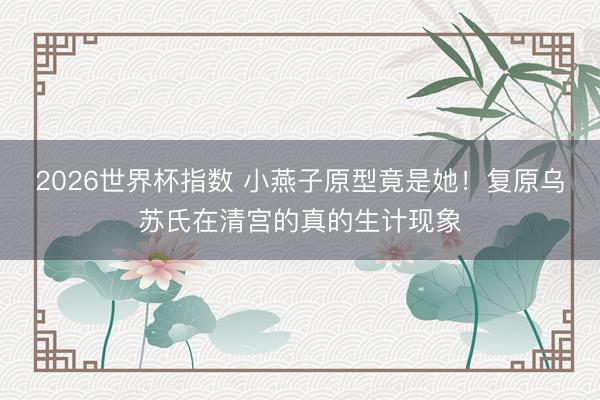 2026世界杯指数 小燕子原型竟是她!复原乌苏氏在清宫的真的生计现象