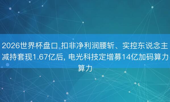 2026世界杯盘口 扣非净利润腰斩、实控东说念主减持套现1.67亿后, 电光科技定增募14亿加码算力
