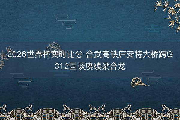 2026世界杯实时比分 合武高铁庐安特大桥跨G312国谈赓续梁合龙