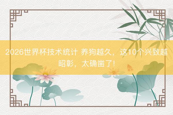 2026世界杯技术统计 养狗越久,这10个兴致越昭彰,太确凿了!